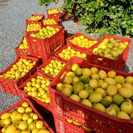 Profumo Di Zagara Acireale Villa Eksteriør bilde