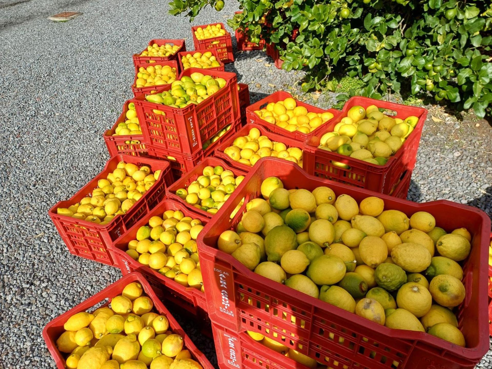Profumo Di Zagara Acireale Villa Eksteriør bilde