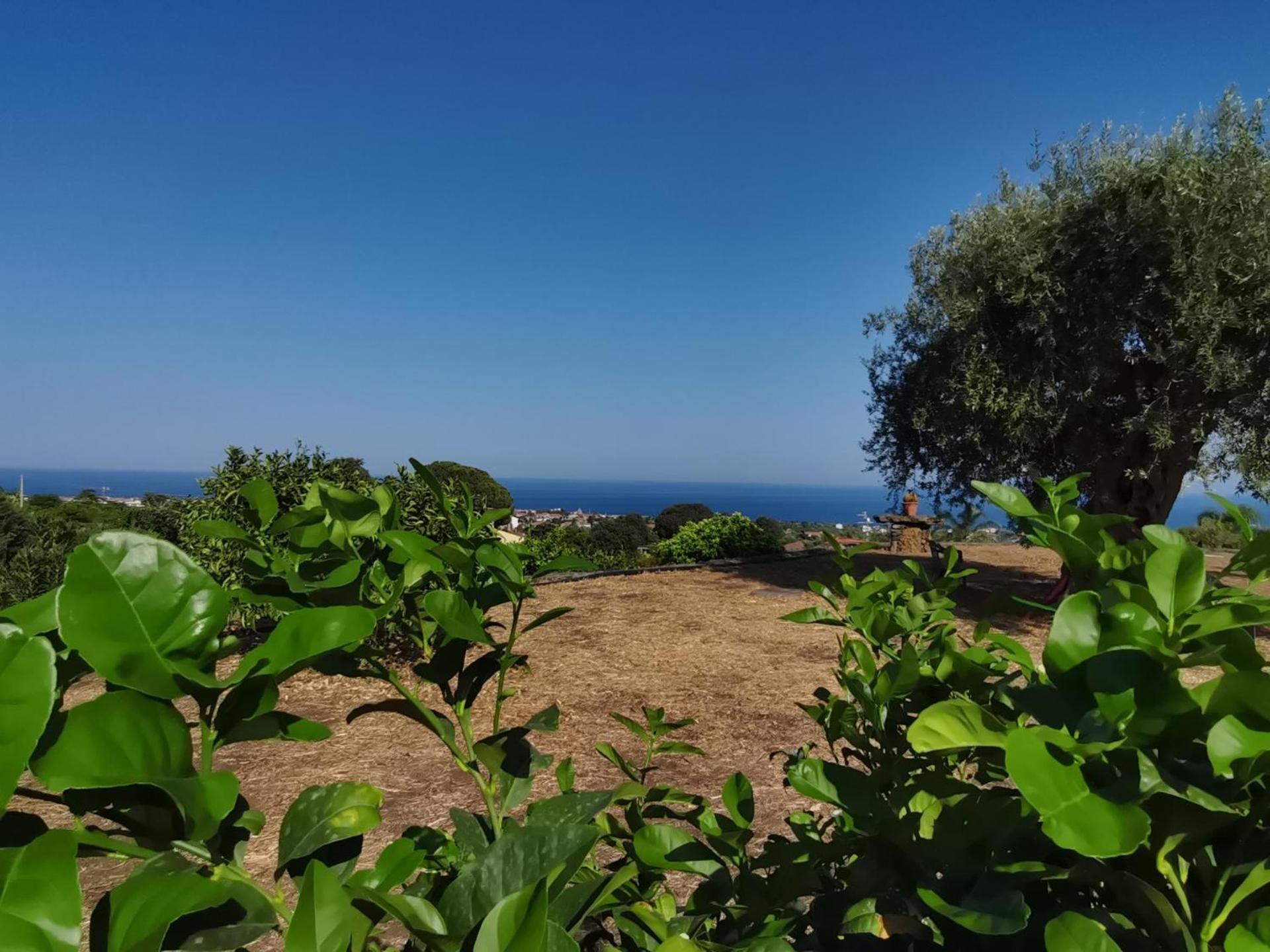 Profumo Di Zagara Acireale Villa Eksteriør bilde