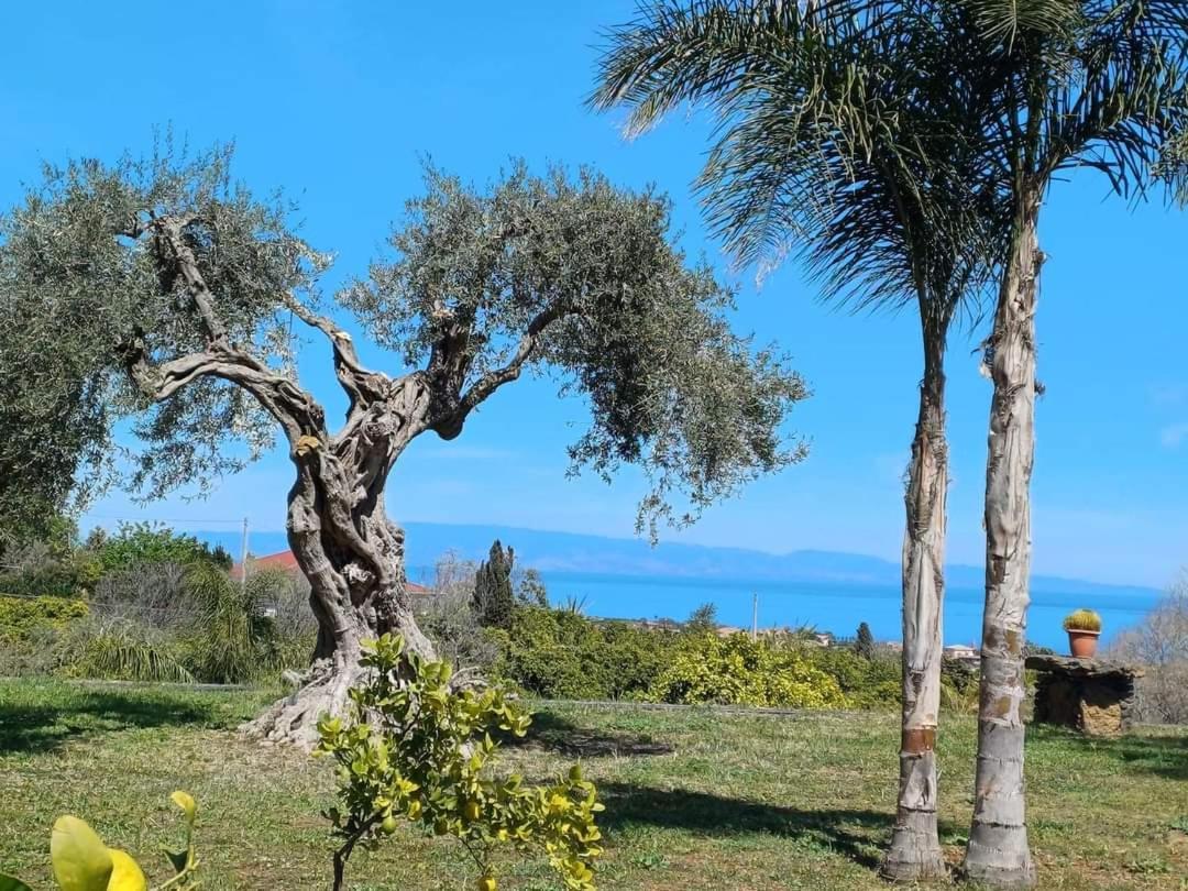 Profumo Di Zagara Acireale Villa Eksteriør bilde